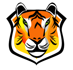 Breaking Boundaries Foundation